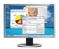 Lg 19 LCD Monitor (L194WT) Lg 19 LCD Monitor (L194WT)